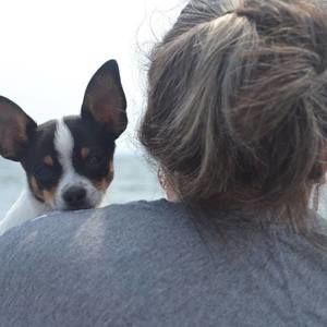 Meet your Posher, Wendy